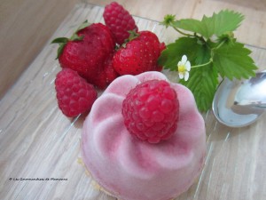 Marguerite de fruits rouges