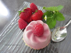 Marguerite de fruits rouges