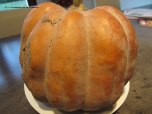 Courge