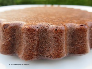 IMG_5564