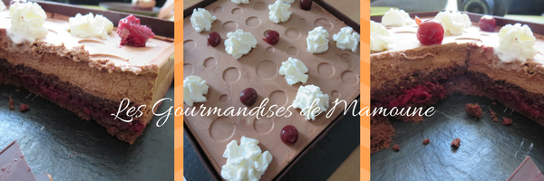 les-gourmandises-de-mamoune_3